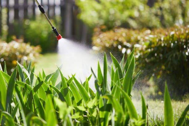 24/7 Emergency Mosquito Control experts in Leesburg, OH
