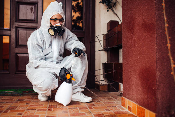 Reliable Mosquito Control contractor in Leesburg, OH by Show Me Pest Control